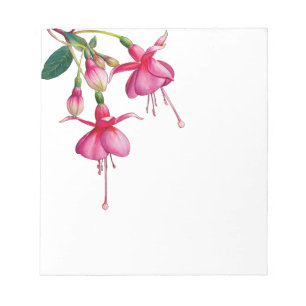 Pink Bleeding Heart flowers leaves Notepad