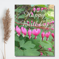 Pink Bleeding Heart Photo Birthday