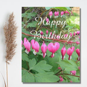Pink Bleeding Heart Photo Birthday Postcard