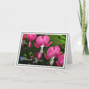 Pink Bleeding Heart Photograph Blank Note Cards
