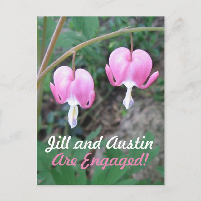 Pink Bleeding Hearts Engagement Announcement Postcard (Front)