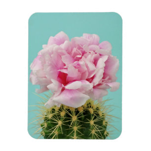 Pink Bloom Atop Spiky Cactus Magnet