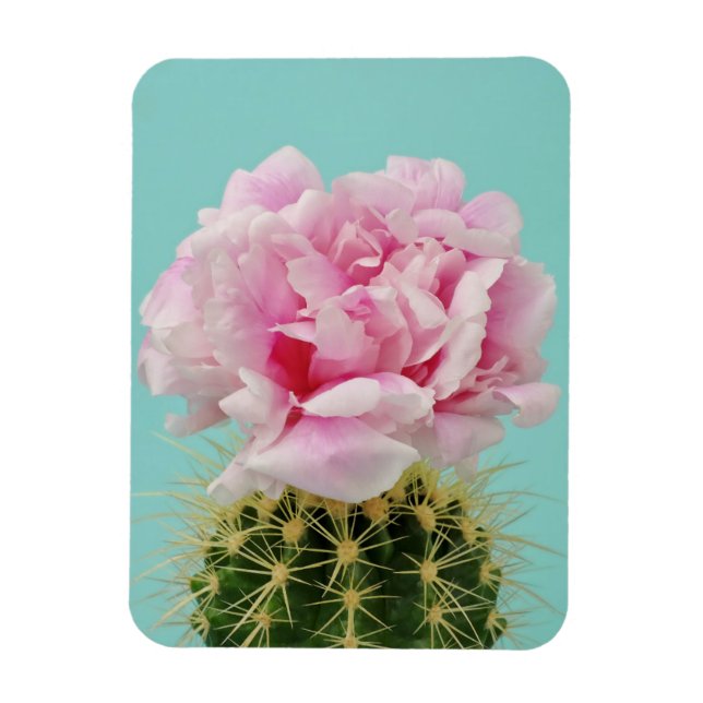 Pink Bloom Atop Spiky Cactus Magnet (Vertical)