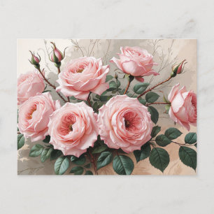 Pink Blooming Roses  Postcard