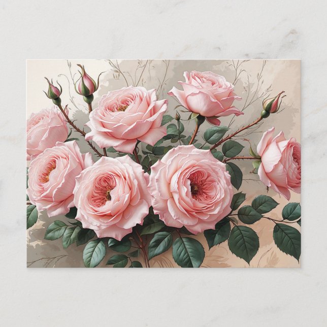 Pink Blooming Roses  Postcard (Front)