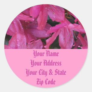 Pink Blooms Classic Round Sticker