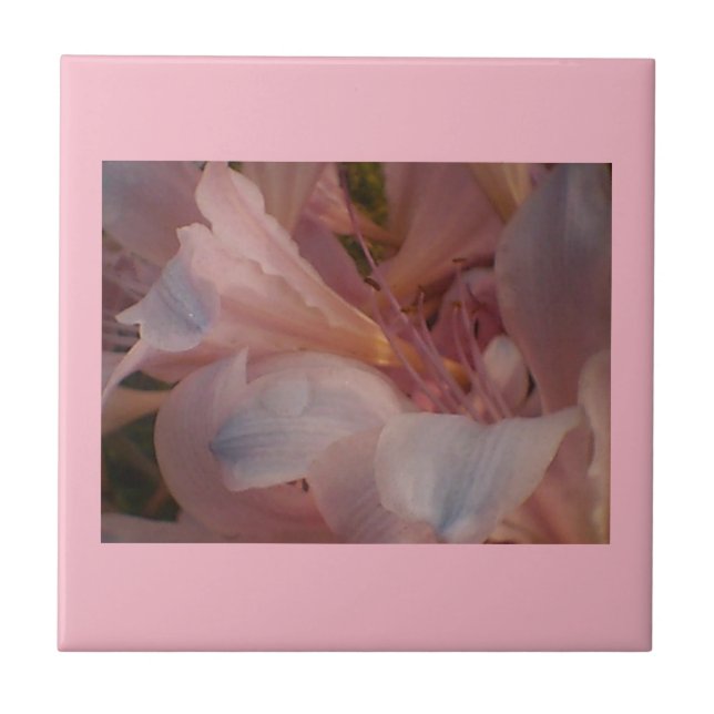 Pink Blooms Tile (Front)