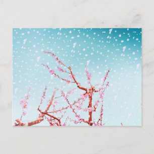 Pink blossom and flying petals (or snow?) postcard