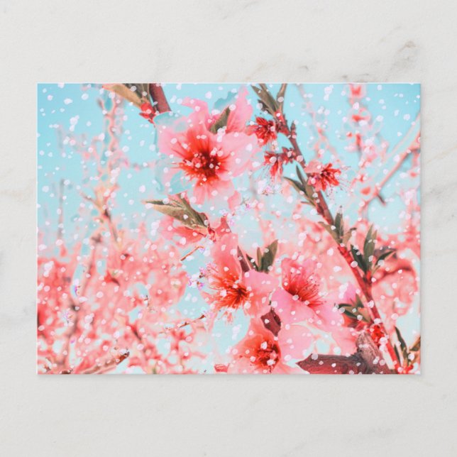 Pink blossom and flying petals (or snow?) postcard (Front)
