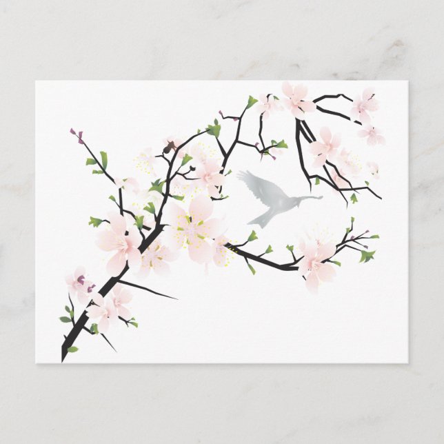 Pink Blossom Bird Postcard (Front)