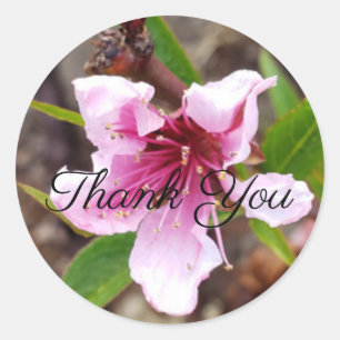 Pink Blossom Floral Thank You Sticker