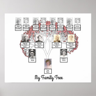 Pink Blossom Fractal Family Tree with Photo Poster