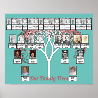 Pink Blossom Fractal Tree Teal 2 Family Trees     Poster
