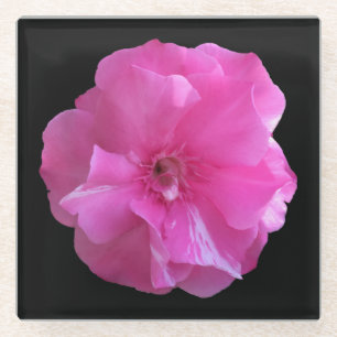 Pink Blossom Glass Coaster