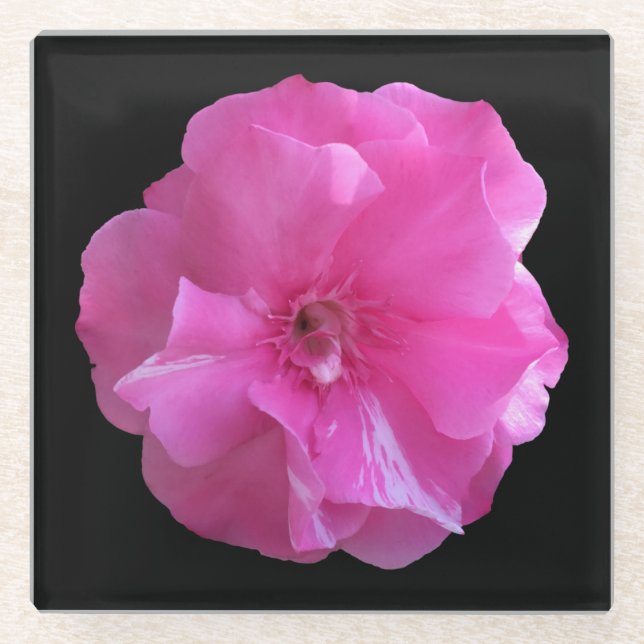 Pink Blossom Glass Coaster (Front)