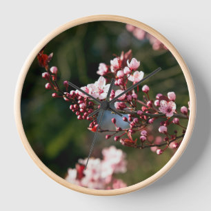 Pink Blossom in the warm summer light Clock