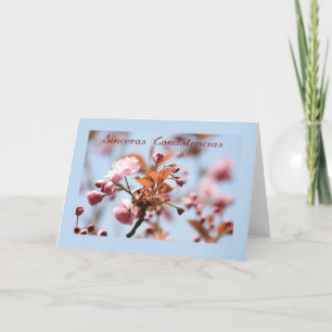 pink blossom sympathy card spanish