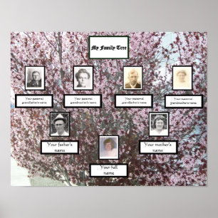 Pink Blossom Three-Generation Photo Family Tree Poster