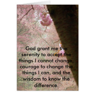 Pink Blossoms And Serenity Verse