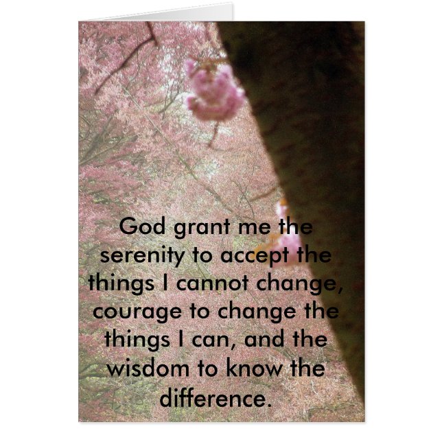 Pink Blossoms And Serenity Verse (Front)