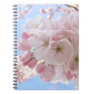 Pink Blossoms Blue Sky.  Notebook