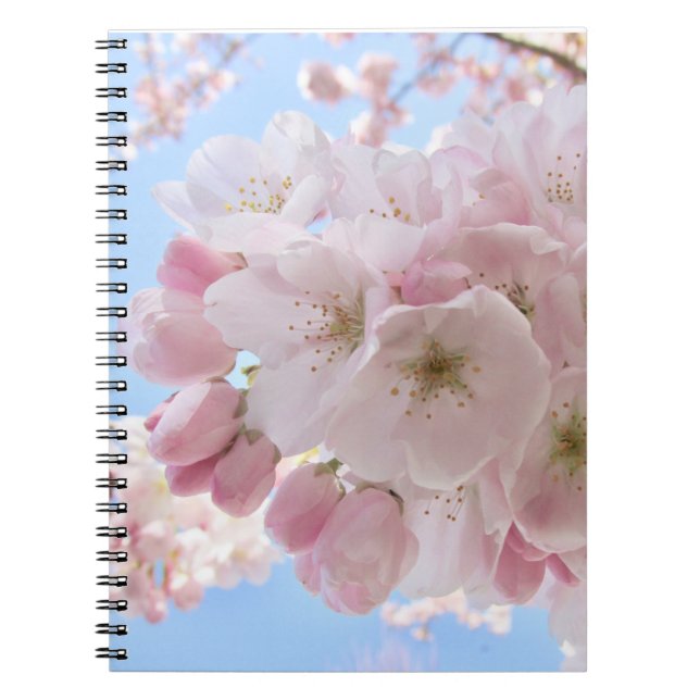 Pink Blossoms Blue Sky.  Notebook (Front)