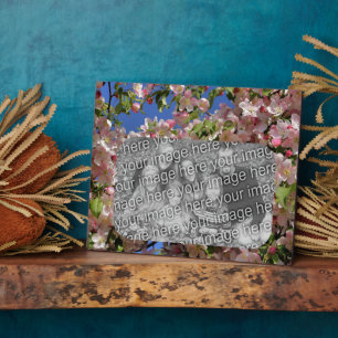Pink Blossoms Create Your Own Photo  Plaque