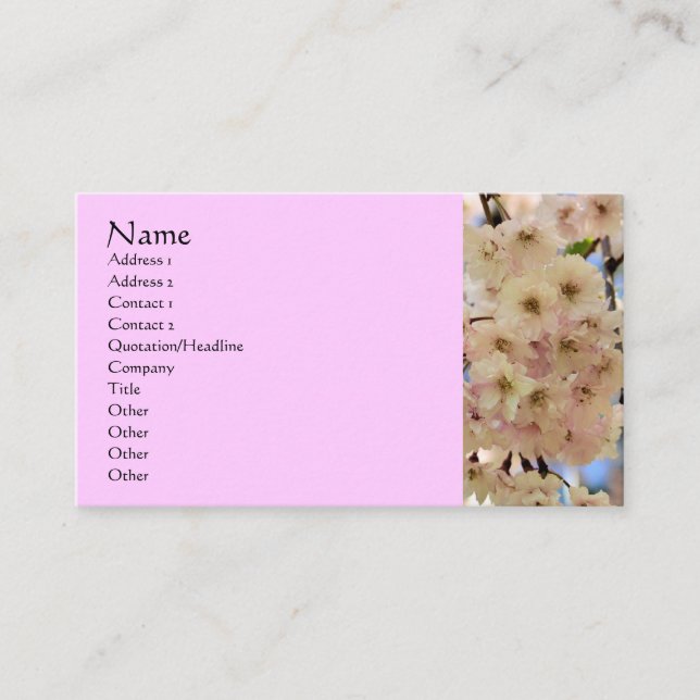 Pink Blossoms Flower Photography Business Card (Front)