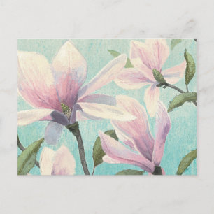 Pink Blossoms from the South Postcard