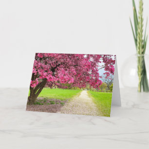 Pink Blossoms Greeting Card
