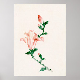 Pink Blossoms, Hokusai Japanese Fine Art Poster