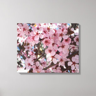 Pink Blossoms on Ornamental Flowering Tree Canvas Print