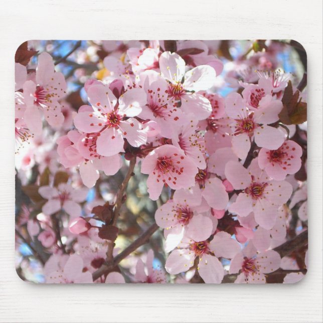 Pink Blossoms on Ornamental Flowering Tree Mouse Mat (Front)