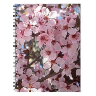 Pink Blossoms on Ornamental Flowering Tree Notebook