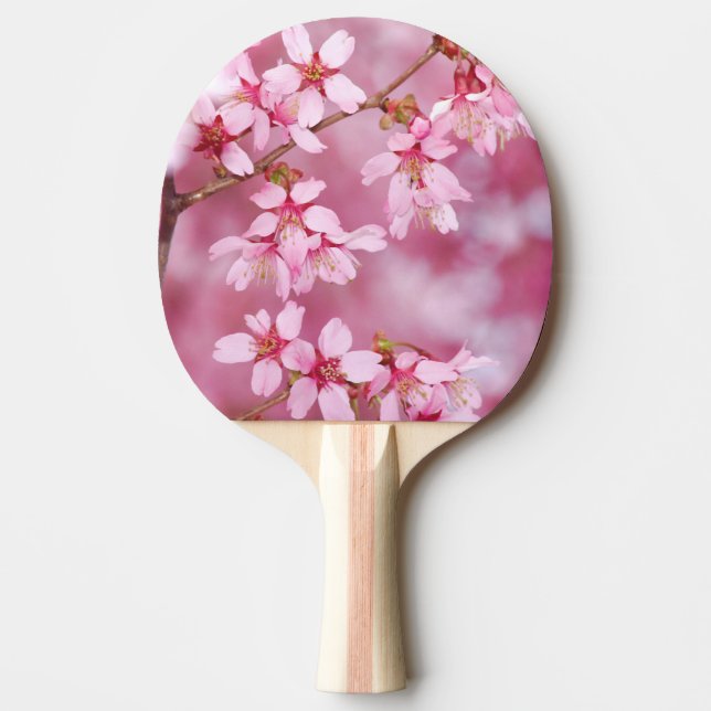 Pink Blossoms Ping Pong Paddle (Front)