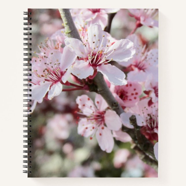 Pink Blossoms Red Stems. Notebook (Front)