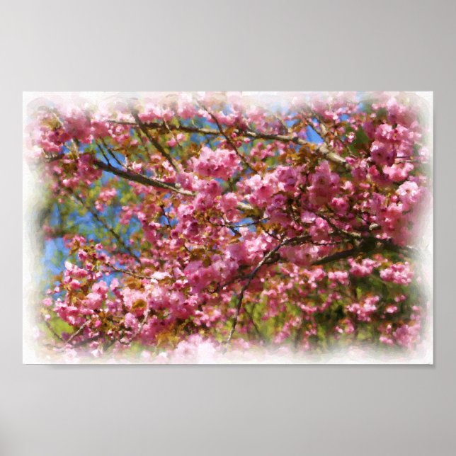 Pink Blossoms Watercolor Photo Painting Flower  Poster (Front)