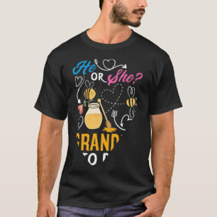 Pink Blue Baby Shower Gender Reveal Party lgbt bac T-Shirt
