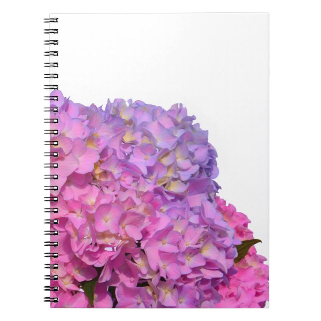 Pink Blue Hydrangeas elegant pink purple flowers Notebook (Front)