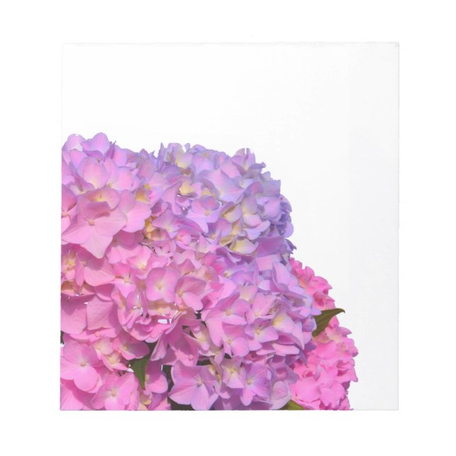 Pink Blue Hydrangeas elegant pink purple flowers Notepad (Front)