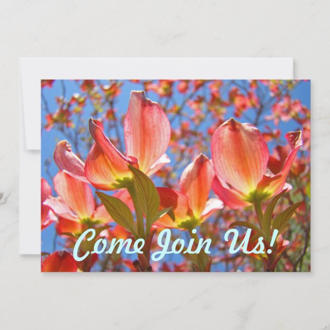 Pink Blue Invitations Dogwood Tree Flowers Floral (Front)