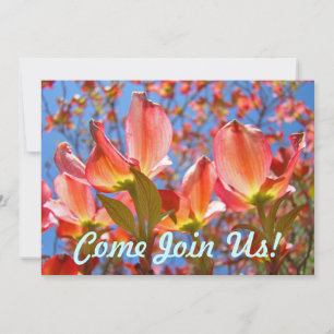 Pink Blue Invitations Dogwood Tree Flowers Floral