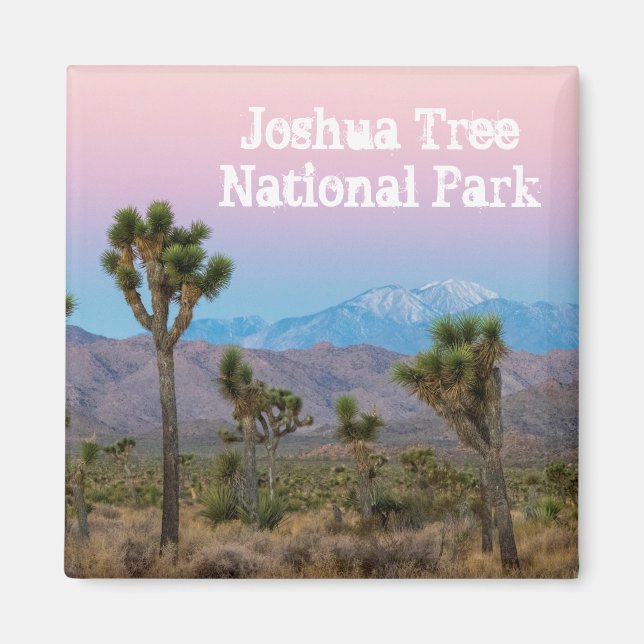 Pink Blue Joshua Tree National Park Souvenir Magnet (Front)