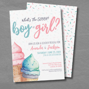 Pink Blue Summer Gender Reveal Invitation