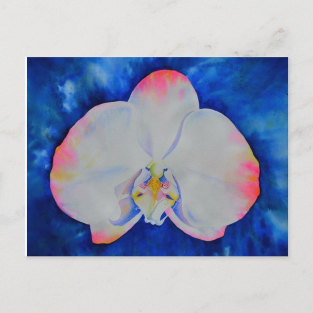 Pink Blush Orchid Postcard (Front)