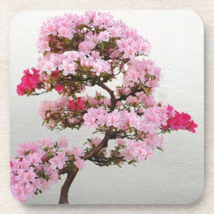 Pink Bonsai Tree Coaster