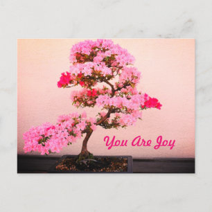 Pink Bonsai Tree Postcard