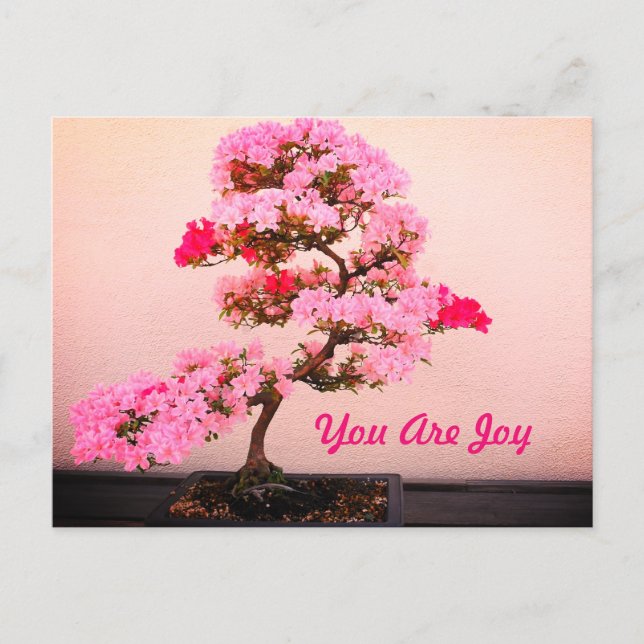 Pink Bonsai Tree Postcard (Front)