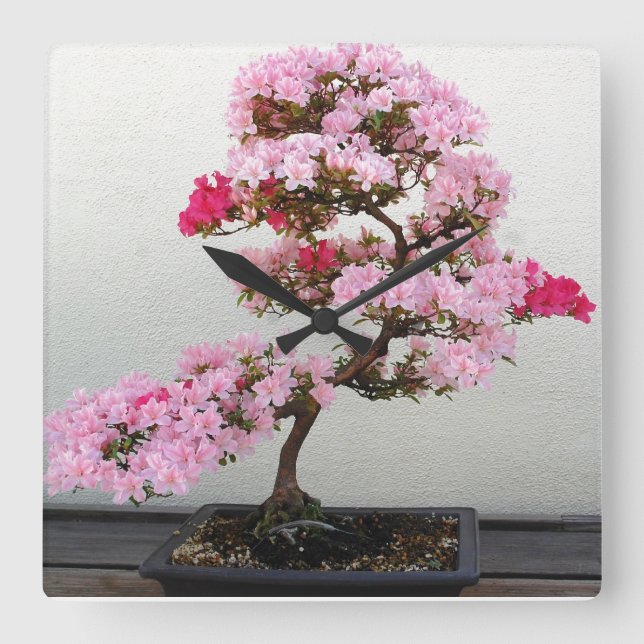 Pink Bonsai Tree wall clock (Front)