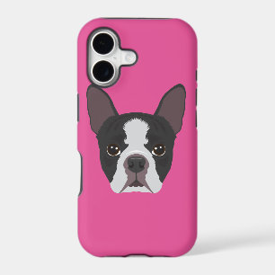 Pink Boston Terrier